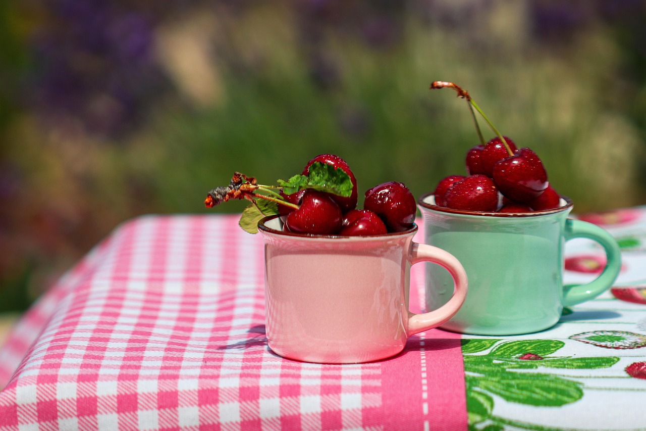 Festa della ciliegia in Emilia-Romagna con frutti freschi e visitatori festanti.