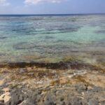 Baia con acque che cambiano colore, vista panoramica suggestiva al tramonto.