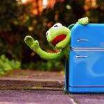 Moneta inserita in un freezer, simbolo del trucco per viaggi senza stress.