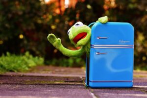 Moneta inserita in un freezer, simbolo del trucco per viaggi senza stress.