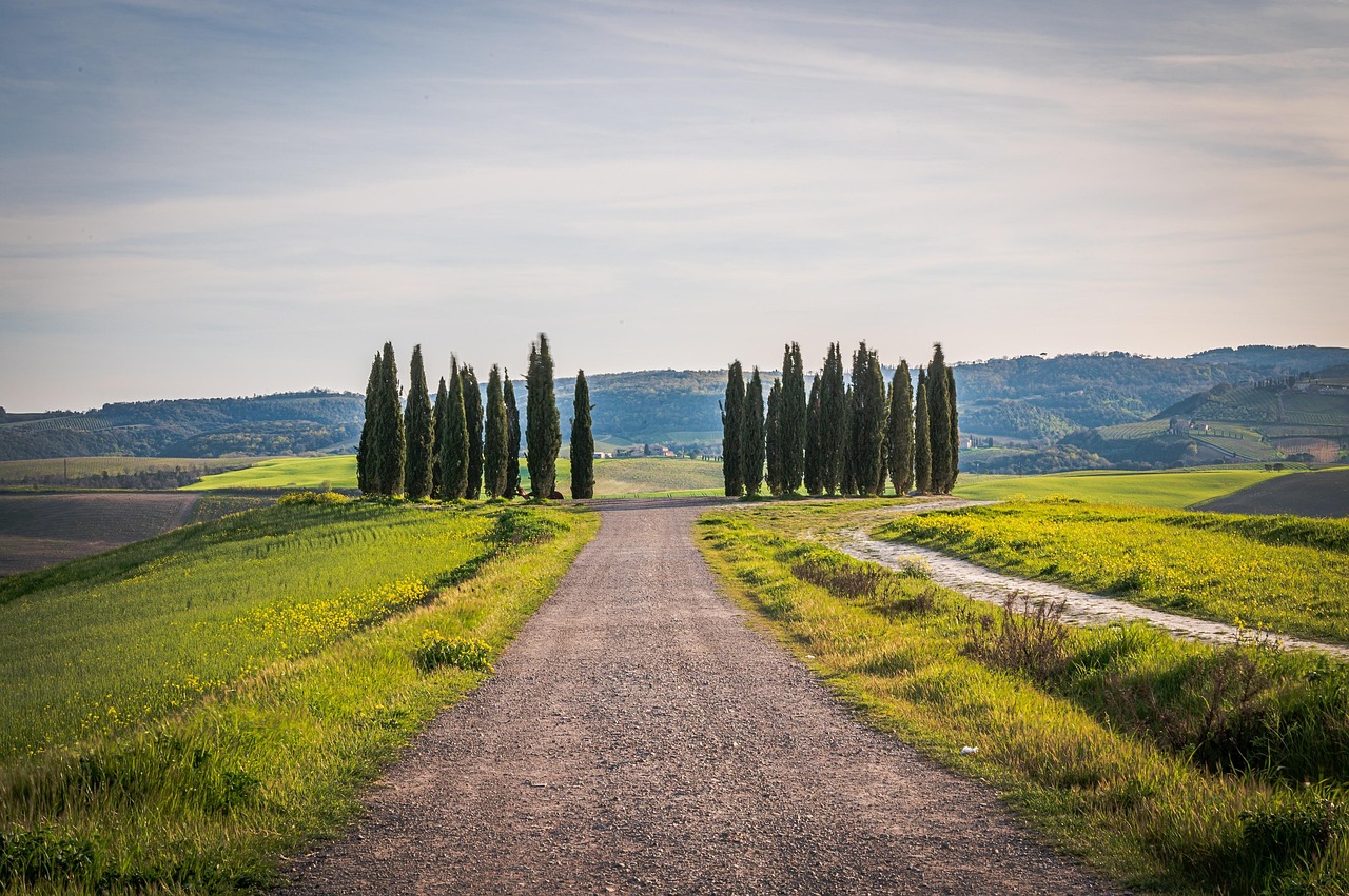 Panorama suggestivo della Via Francigena con colline verdi e antichi borghi.